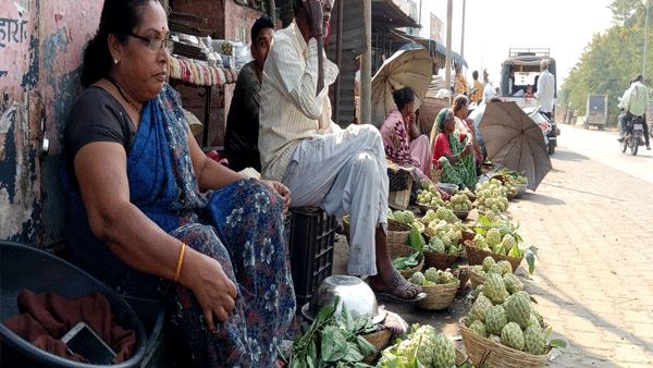 गिरडच्या सीताफळाचा गोडवा महागला!