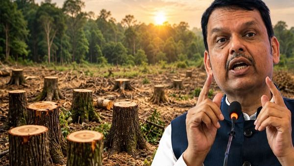 ३२ हजार झाडांवर कुऱ्हाड? फडणवीसांचा प्रदूषणमुक्त ऊर्जेचा दावा!