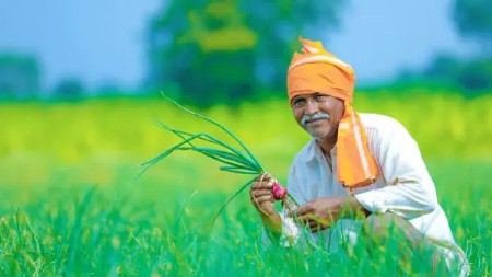 वर्धा जिल्ह्यातील २.३८ लाख शेतकऱ्यांना मिळणार पाच हजारांची अग्रीम मदत