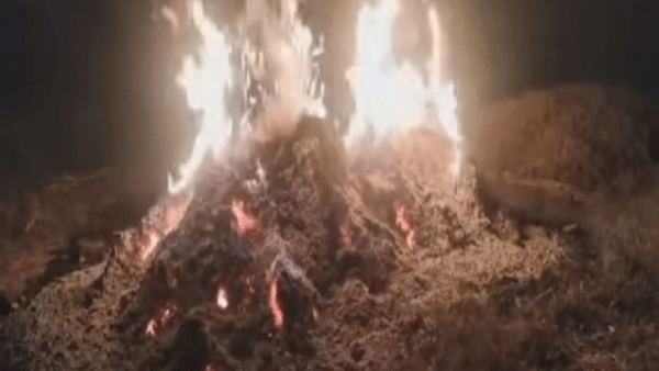 सोयाबीनच्या गंजीला आग ; ३ लाखांचे नुकसान