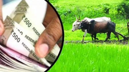 चौथ्या यादीत गोंदियातील ६०१ शेतकरी कर्जमुक्त!