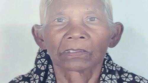 वाघाच्या हल्ल्यात 70 वर्षीय वृद्ध महिला ठार