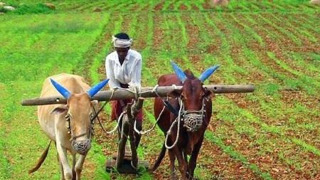 शेतकऱ्यांच्या खात्यात याच आठवड्यात जमा होणार ५ हजार रुपये