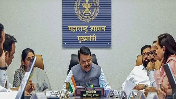 लाडकी बहीण योजनेनंतर आता एकल महिलांसाठी स्वतंत्र योजना